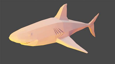 Low Poly Shark Model 3D-Modell - TurboSquid 2016439