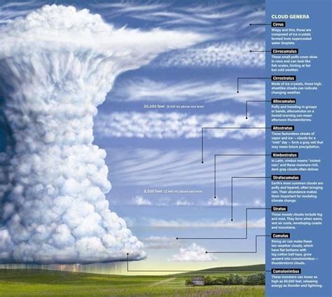 Types of clouds | Erdkunde, Naturkunde, Naturwissenschaft