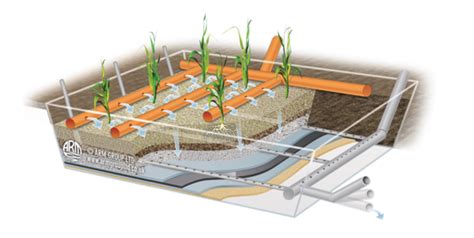 Reed beds - Nutrient neutrality private mitigations – Herefordshire Council