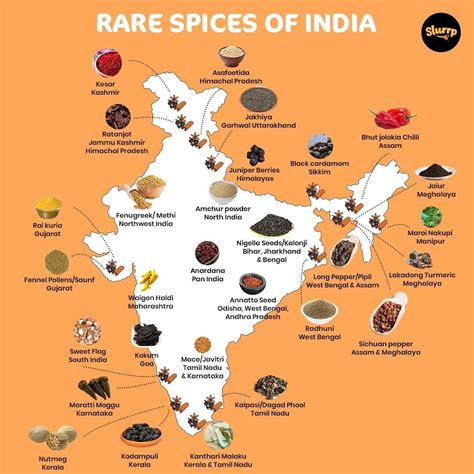 Rare Spices Of India | Indian food recipes, Indian food recipes vegetarian, India food