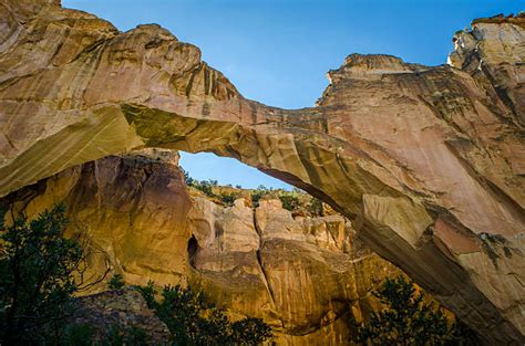 Royalty Free El Malpais National Monument Pictures, Images and Stock ...