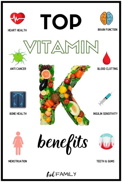 Vitamin K2: The Necessary Nutrient For Longevity | hol FAMILY