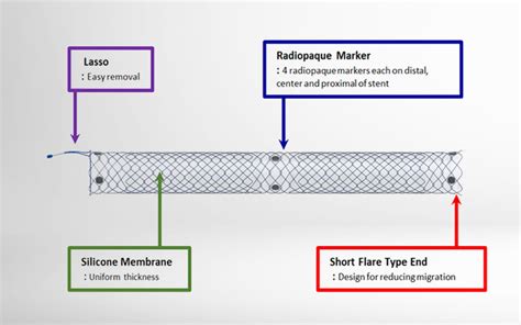 Biliary Stent – Bio Medics Medical System