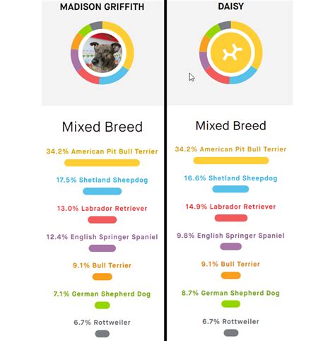 The Best Dog DNA Testing Kits for 2024