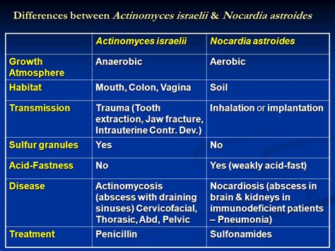 Actinomyces treatment antibiotics