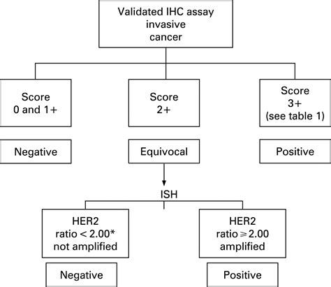 HER2 testing in the UK: further update to recommendations | Journal of Clinical Pathology