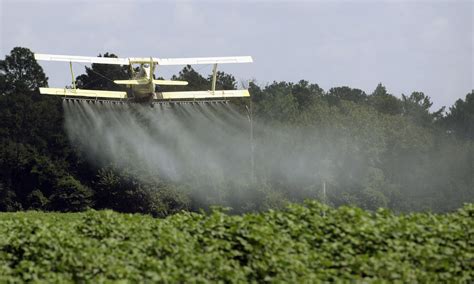 Pesticide residues found in 70% of produce sold in US even after washing — Health & Wellness ...