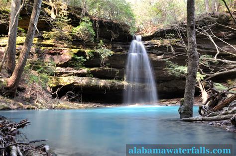 Trip Guide: Shangri-La Falls in Bankhead National Forest - Alabama ...