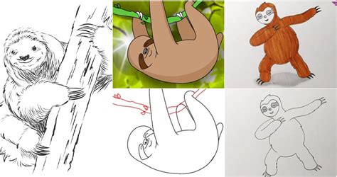 25 Easy Sloth Drawing Ideas - How to Draw a Sloth