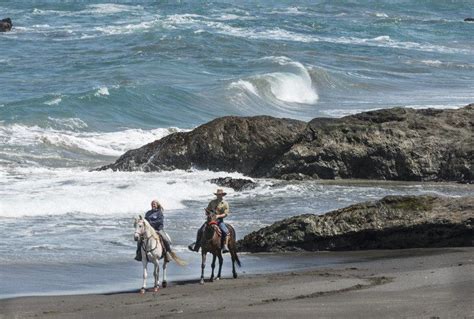 9 Top Places to Go Horseback Riding in California