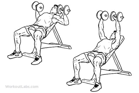 Incline Dumbbell Bench Press | Illustrated Exercise guide - WorkoutLabs