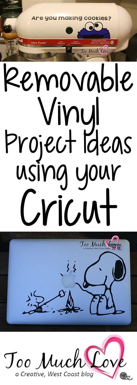 Project ideas using removable vinyl and your cricut. Files of good quality at the best price you ...