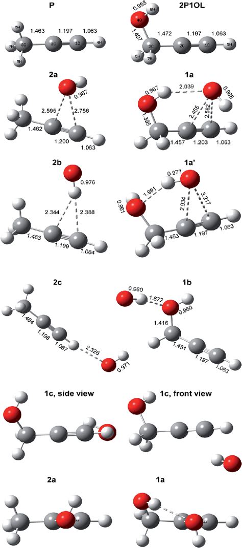 Structure of propyne (P), propargyl alcohol (2P1OL) and the initial... | Download Scientific Diagram