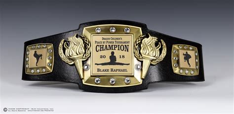 Boxing Championship Belt Trophy Award Perpetual - Etsy UK