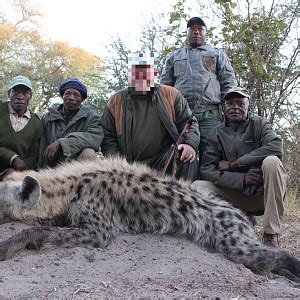 Hunting Spotted Hyena | AfricaHunting.com