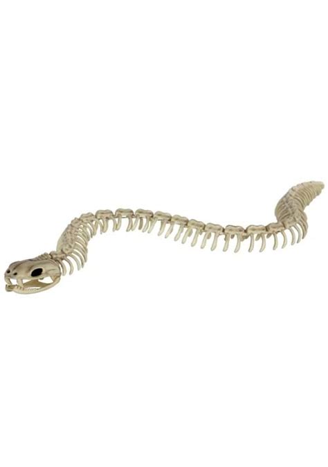 36" Snake Skeleton Halloween Prop | Animal Skeleton Decorations