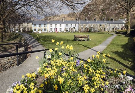 Beddgelert in Spring, Snowdonia, Wales Photograph by Pearl Bucknall - Fine Art America