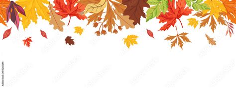 Autumn Leaves Border isolated on Transparent background. Red, yellow and orange fall leaves with ...