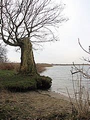 Category:Martham Broad - Wikimedia Commons