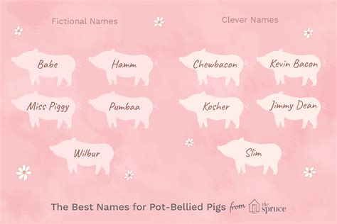 Find the perfect name for your pot-bellied pig from this list and then ...