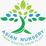 Croton Plant, For Indoor - asain nursery, Gajraula, Uttar Pradesh