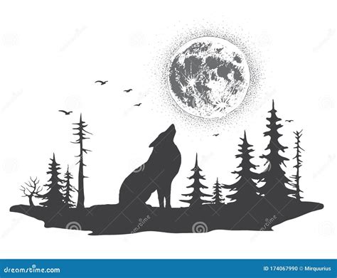 Lonely Wolf Howling at the Moon Stock Vector - Illustration of spruce ...