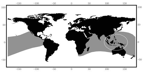 Why are there no sea snakes in the Atlantic? – Research News