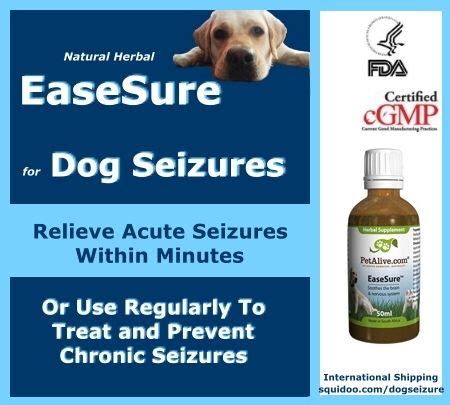 canine seizure medication,www.npssonipat.com