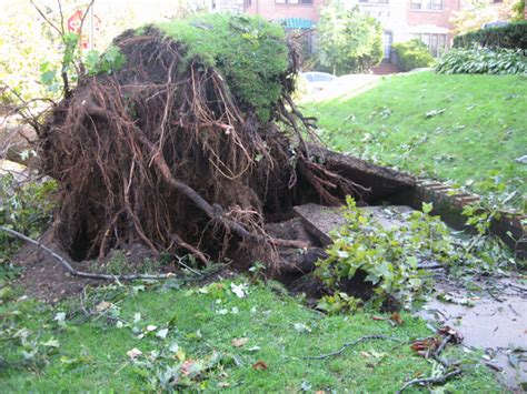 Tornado Aftermath Free Stock Photo - Public Domain Pictures