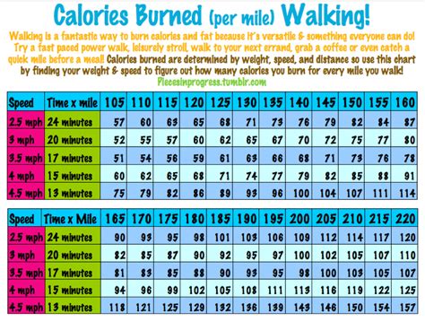 Insanity Workout Calorie Burned Calculator | EOUA Blog