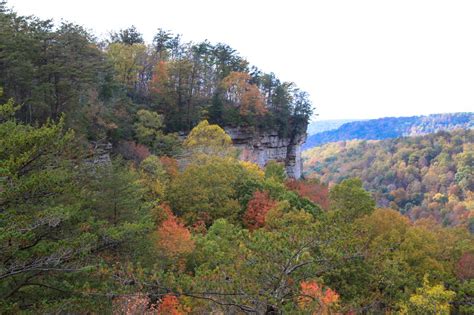 Discovering Majestic Pogue Creek Canyon in Jamestown, Tennessee ...