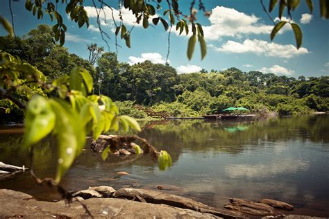 4 Amazing Amazon Jungle Tours