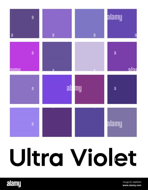 Palette of ultra violet tones. Purple color template. Shades of lilac color. Vector colored ...