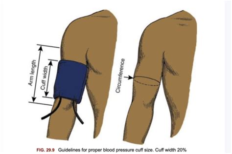Chapter 29: vital signs blood pressure Flashcards | Quizlet