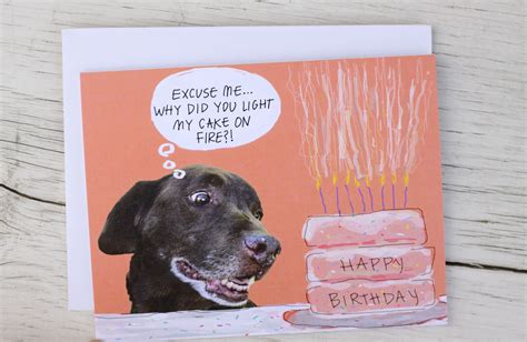 Funny Dog Birthday Card - Birthday Cake On Fire | Dog birthday, Funny dogs