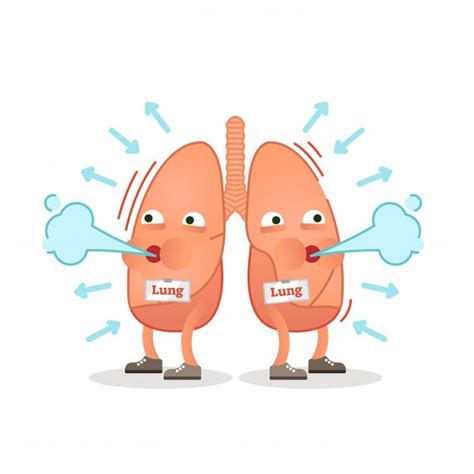 Premium Vector | Breathing lungs character vector illustration ...