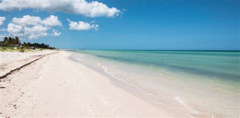 THE MOST BEAUTIFUL BEACHES IN YUCATAN - Barrio Vivo