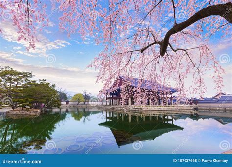 Gyeongbokgung Palace with Cherry Blossom Tree in Spring Time in Stock ...