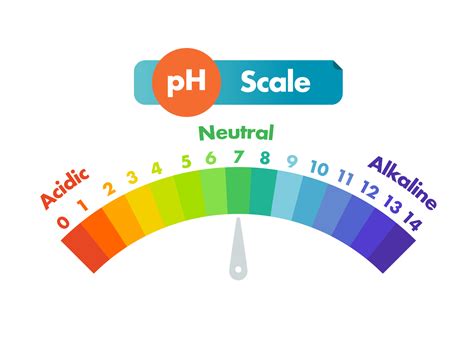 Swimming Pool pH: Why It Matters & How to Balance Your Water