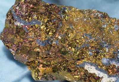 Bornite mineral - Stock Image - E425/1226 - Science Photo Library