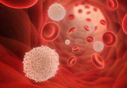 Low lymphocytes-Causes, Symptoms, Diagnosis &Treatment - Trendy Damsels