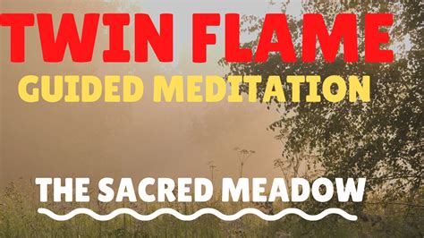 Twin Flame Healing Meditation (Guided) - Pure Twin Flames