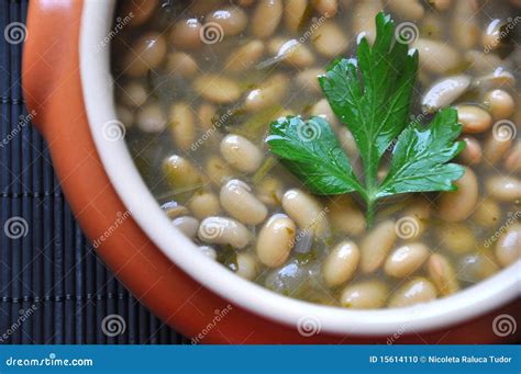 Soy beans soup stock photo. Image of farm, amazing, florence - 15614110