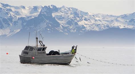 Salmon Fishing 101.1 - Copper River Salmon