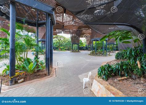 Orquideorama Medellin Botanical Garden Editorial Stock Photo - Image of ...