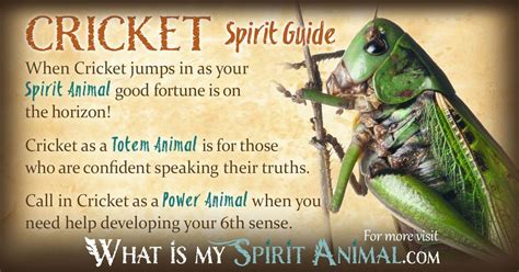 Cricket Spirit, Totem, & Power Animal Symbolism Meaning - What Is My ...