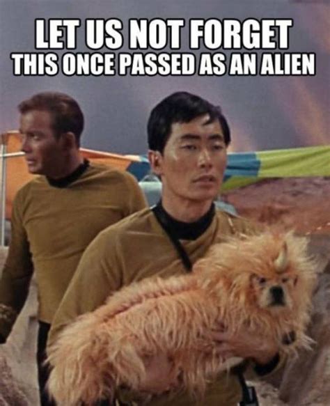 This Alien Dog!-12 Funny Star Trek Memes That Are Make Your Day | Star trek funny, Star trek ...