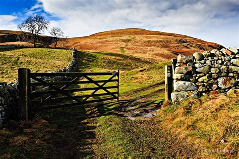 "Humbleton Hill, Northumberland National Park. UK" by David Lewins | Redbubble