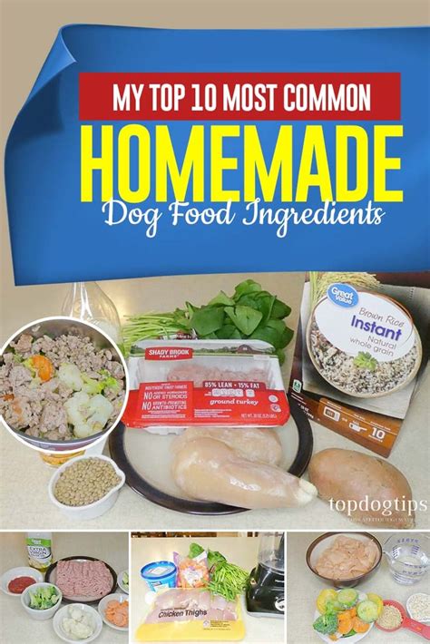 My Top 10 Most Common Homemade Dog Food Ingredients