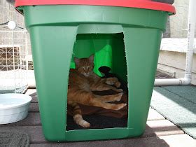 The Very Best Cats: How to Make a Winter Shelter for an Outdoor Cat